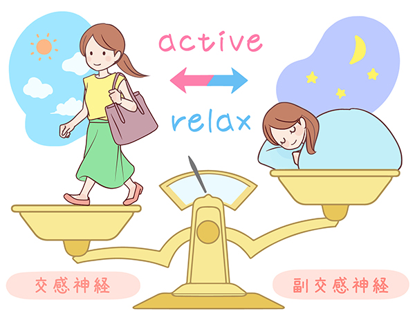 自律神経の仕組み